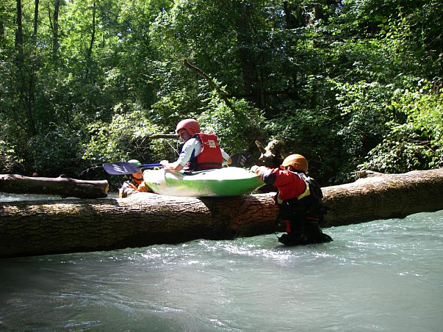 09_Alte_Aare14.jpg