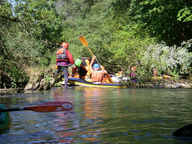 09_Alte_Aare40.jpg